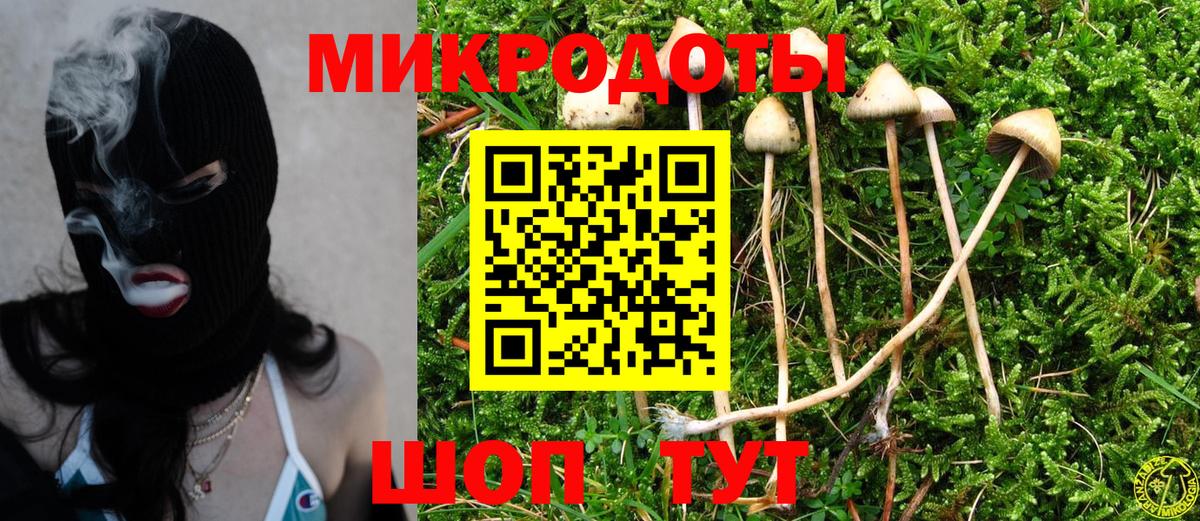 Псилоцибиновые грибы Magic Shrooms  Вход с VPN  Нововоронеж 