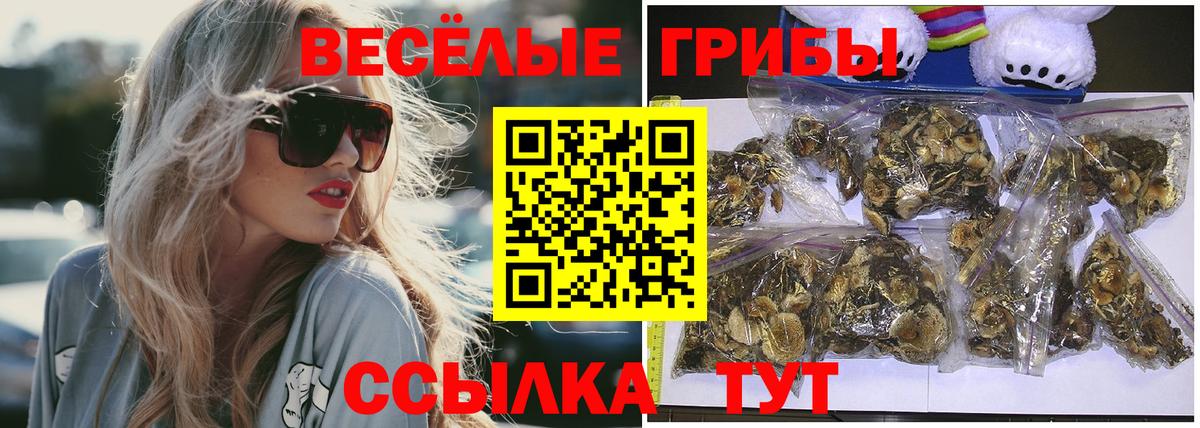Псилоцибиновые грибы Cubensis Нововоронеж